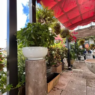 a potted plant on a pedestal