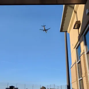 A distraction overhead every once in a while....