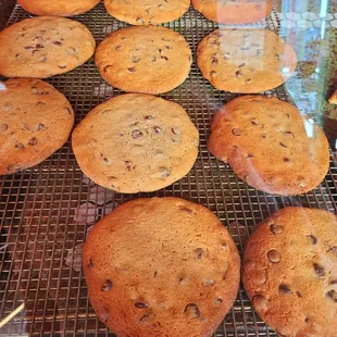 These chocolate chip cookies were amazing