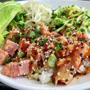 Spicy Tuna Bowl ($13.95)