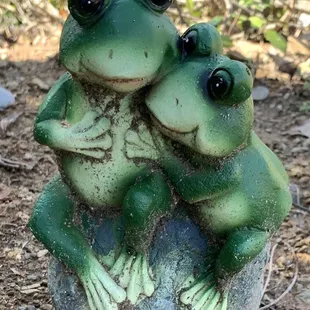 Aww do you want to cuddle don't drive by me you might miss me.