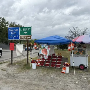 Oakhurst strawberry stand