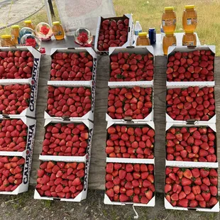 Oakhurst strawberry stand