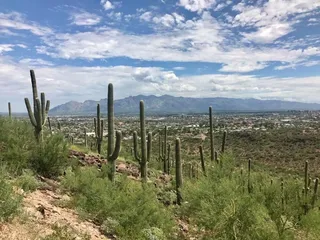 Chalet Village Motel