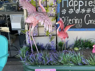 Boomerang Consignment and Resale