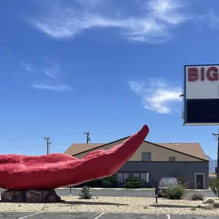 Roadside attraction not to be missed.  June 1, 2023.