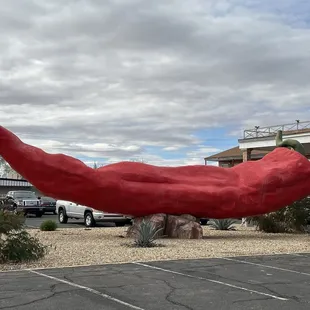 There it is! Hungry now!