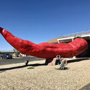 @ World's Largest Chile Pepper - 2/21/21
