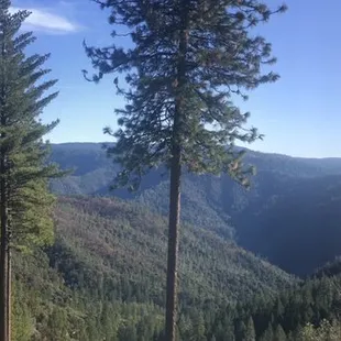 This is your view!