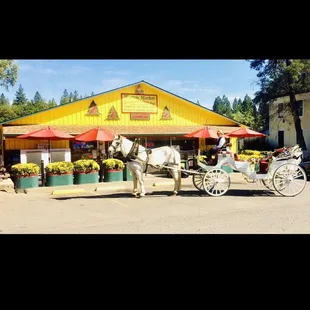 a white horse pulling a carriage