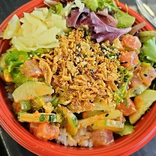 Wow Bento