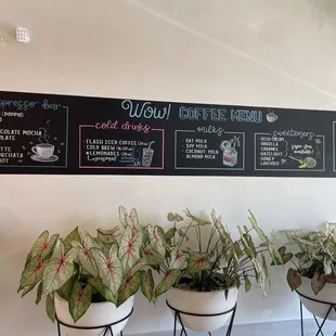 Coffee Menu