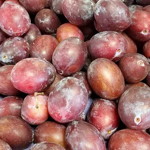 Italian Plums