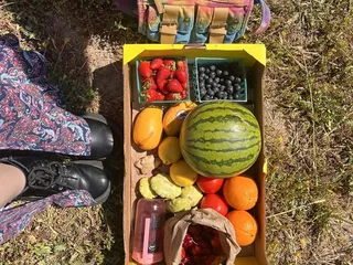 Farmers  Wife