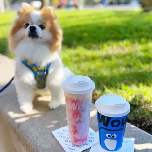 Cloudy Strawberry: Strawberry Smoothie &quot;lightly&quot; swirled w/ salted cheese foam ($5.75) + Qilan Oolong Tea w/ salted cheese foam ($4.50)