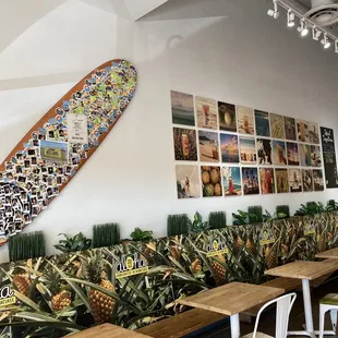 a surfboard on the wall