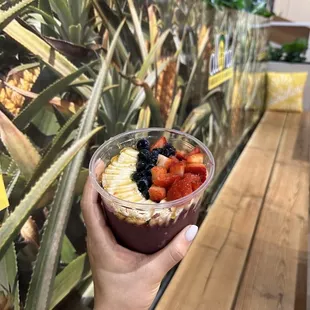 sushi and sashimi, interior