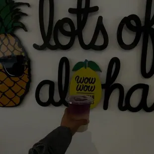 Butterfly Mojito Lemonade