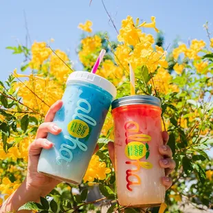 Wow Wow Hawaiian Lemonade - Scottsdale