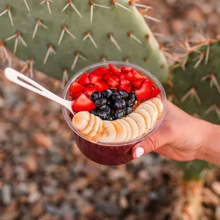a hand holding a bowl of fruit