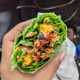 This is the delicious chicken fajita wrap