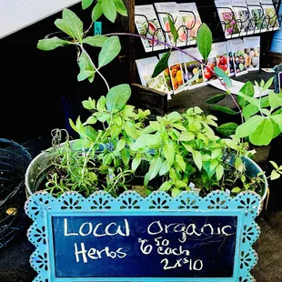 "Local Organic Herbs"