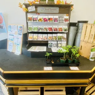 seeds &amp; herb plants for sale...