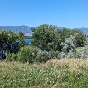 View from park entrance