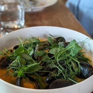 mussels, oysters and mussels, shellfish, oysters, food