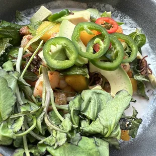 Shrimp & Avocado Salad