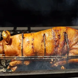 We Roast Pigs