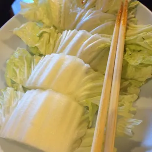 Napa Cabbage