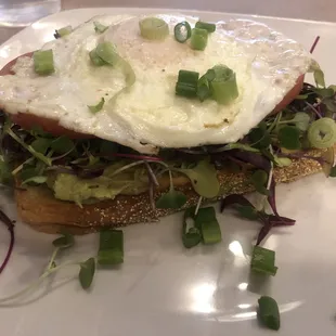 Avocado Toast