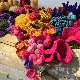 Crochet mushrooms on wall