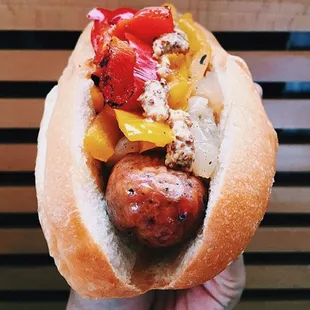 hot dog, food, hot dogs, sandwich