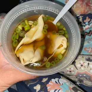 Wonton Soup