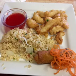 Sweet and Sour Chicken