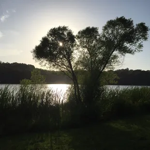 View from east near Lake entry