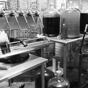 Informative, behind the scenes tour