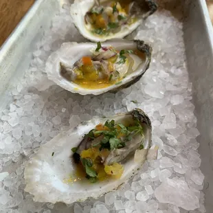 Oysters