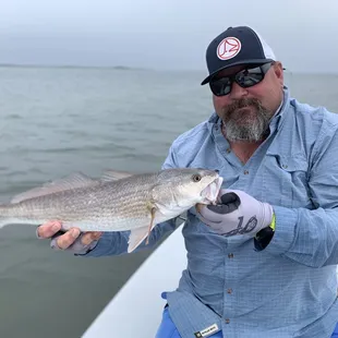 Wyld On the Fly