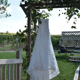Wedding Dress and Vineyard