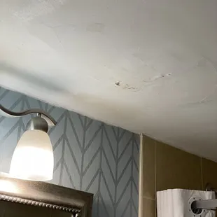 Mold/ crack in the ceilings