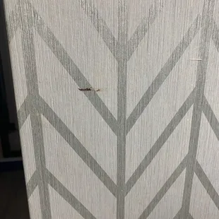 An actual BOOGER on the wall of our room.