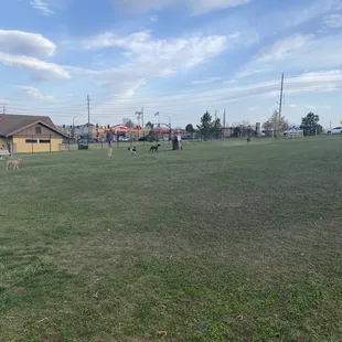 Dog park