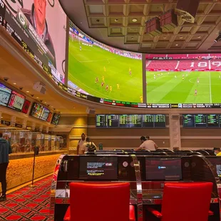 people watching a game