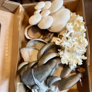 a box of mushrooms