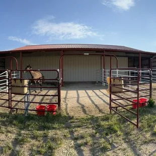 Group of 4 covered runs