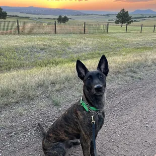 Walking the driveway at sunset