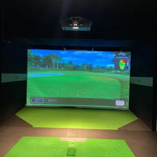 indoor golf simulator
